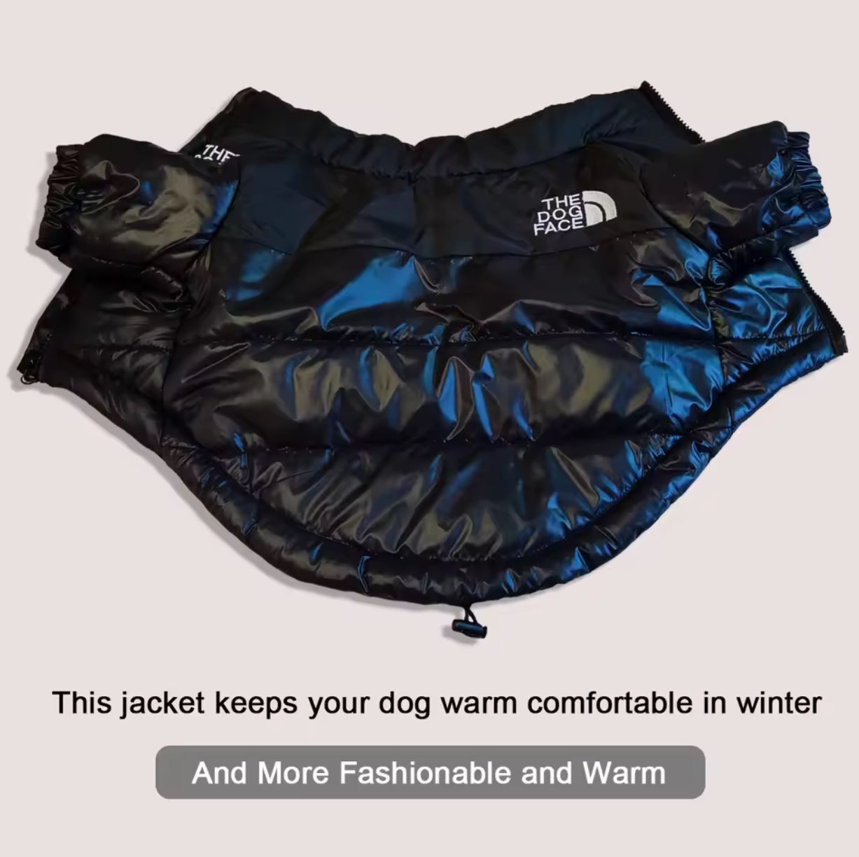 Dogs jackets