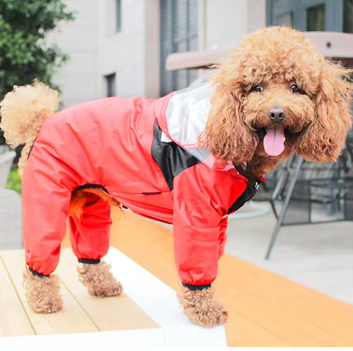 Dog Raincoat Waterproof