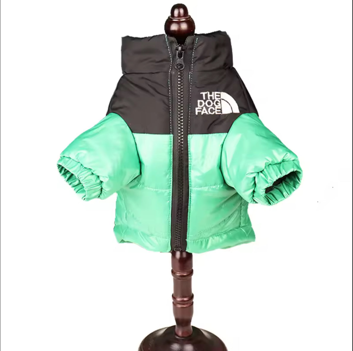 Dogs jackets