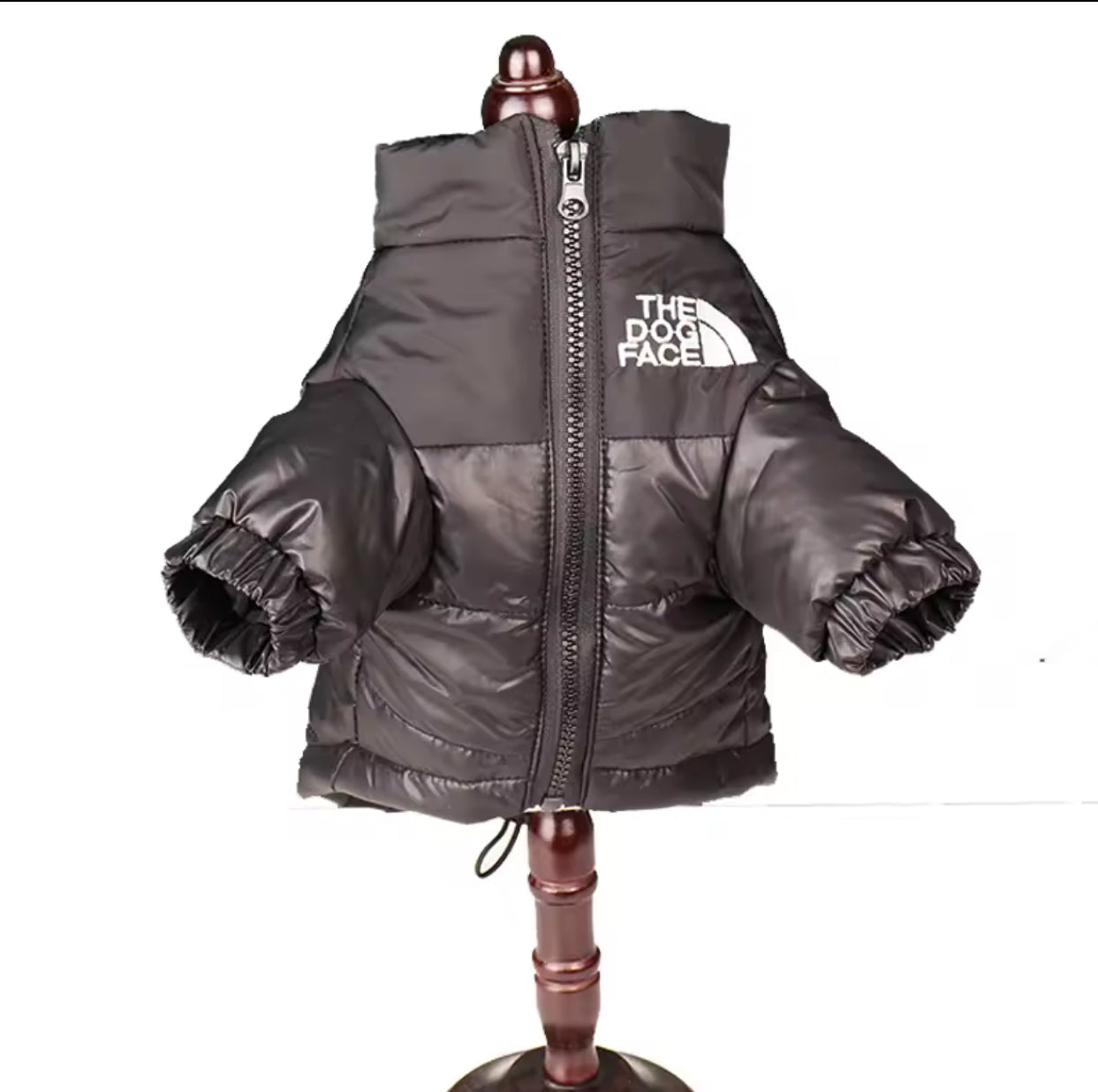 Dogs jackets