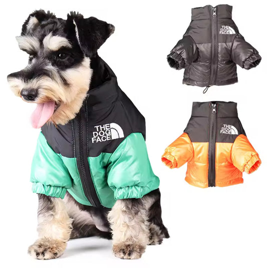 Dogs jackets